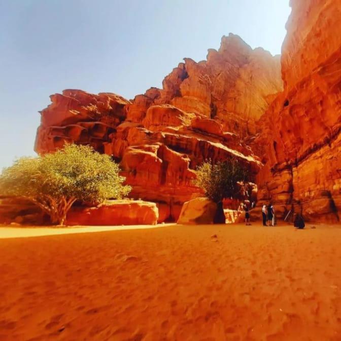 Appartement Saleem With Jeep Tour à Wadi Rum Extérieur photo